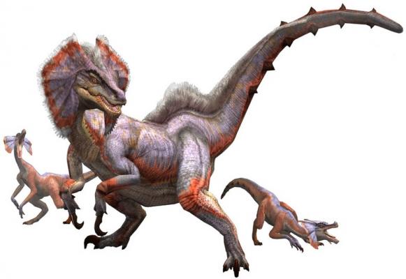 grand jaggi